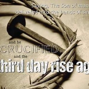 Meet your Posher, Kathryn